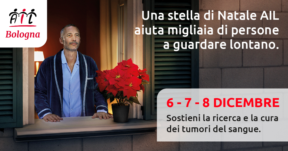 Stelle di Natale 2024