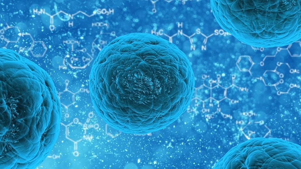 Donazioni di cellule staminali