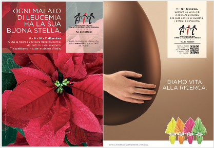 Stella Di Natale Beneficenza.Campagne Ail